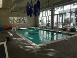 Aloft Hotel - Commercial Pool built by New Wave Pools Austin